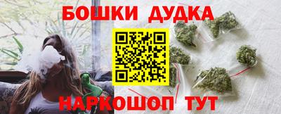 индика Будённовск