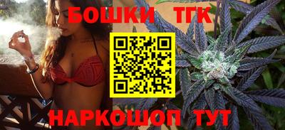 индика Будённовск